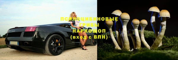спиды Нефтегорск
