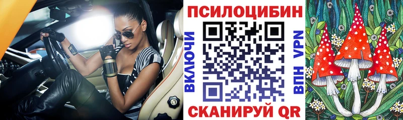магазин  наркотиков  Саки  mega ССЫЛКА  Галлюциногенные грибы GOLDEN TEACHER 